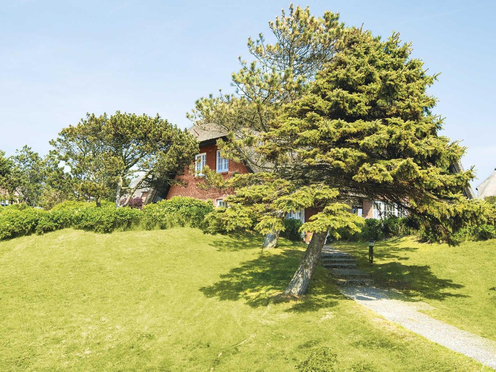 Ferienhaus Strandidyll Von & Mehr